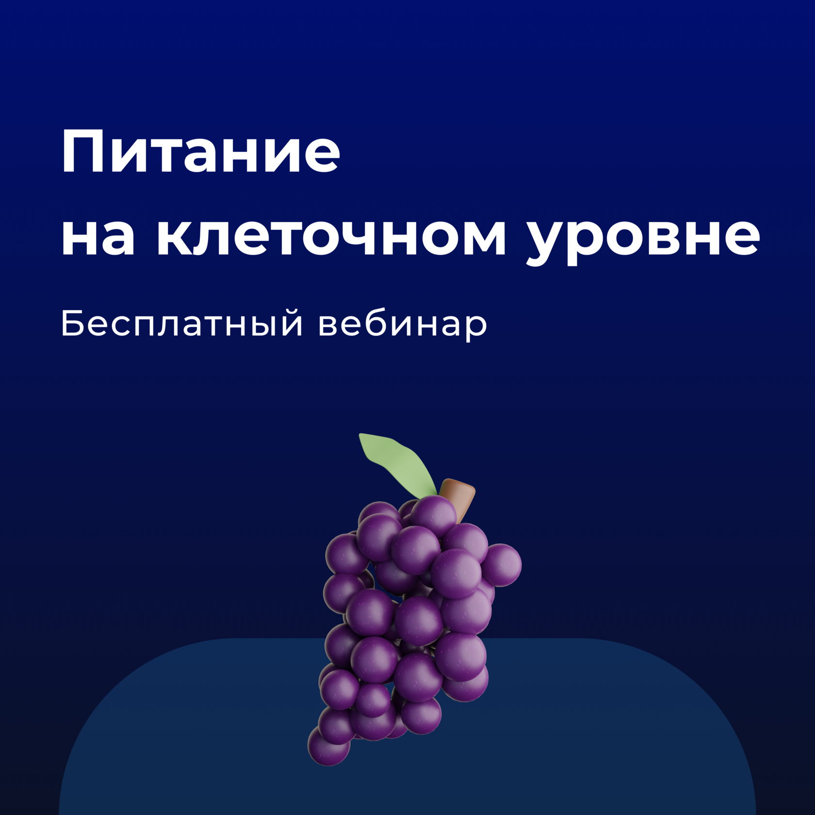 Питание на клеточном уровне